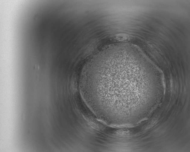 X0000072500606200607290107