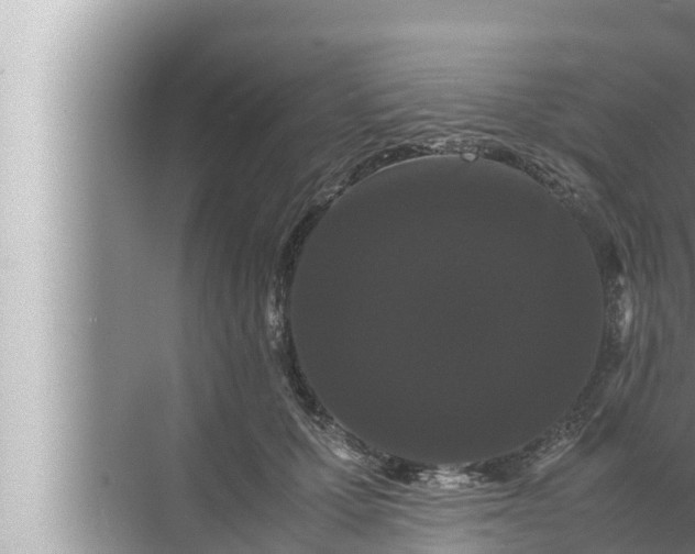 X0000072500607200607290107