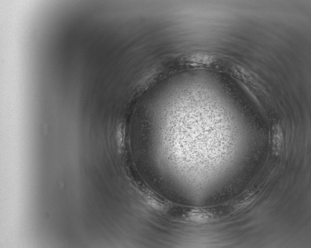 X0000072500608200607290107