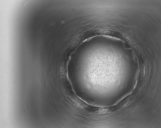 X0000072500609200607290107