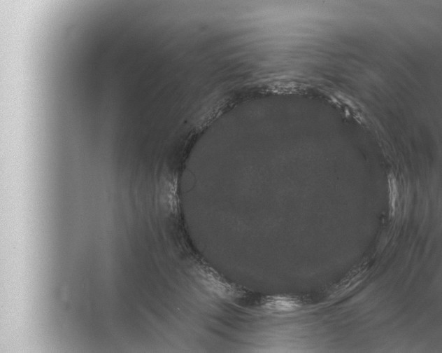 X0000072500610200607290107