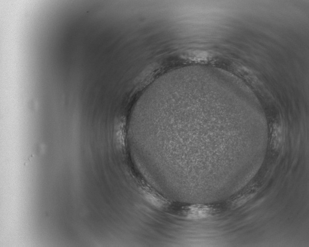 X0000072500612200607290107