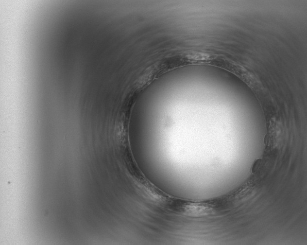 X0000072500614200607290107