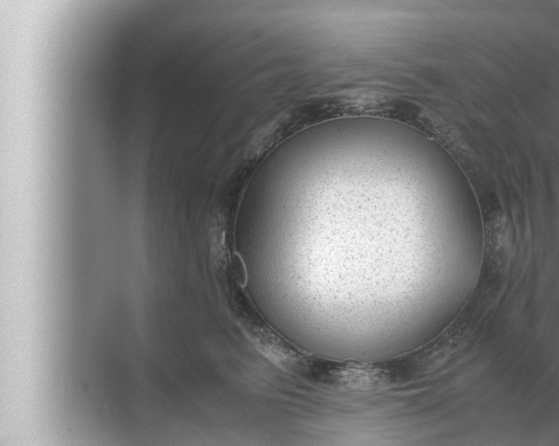 X0000072500615200607290107