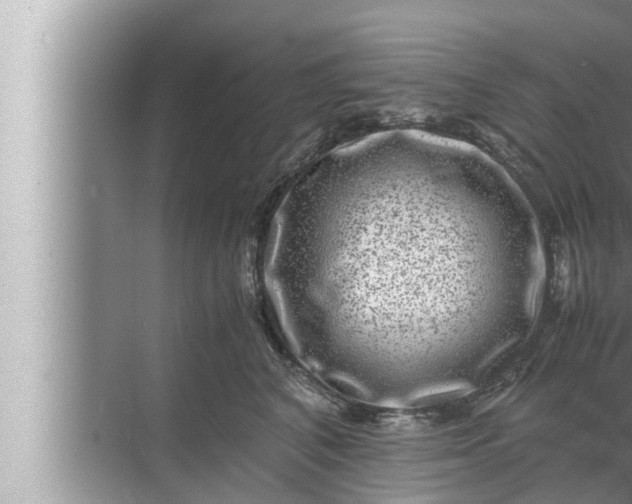 X0000072500616200607290107