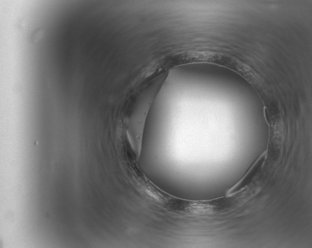 X0000072500617200607290107