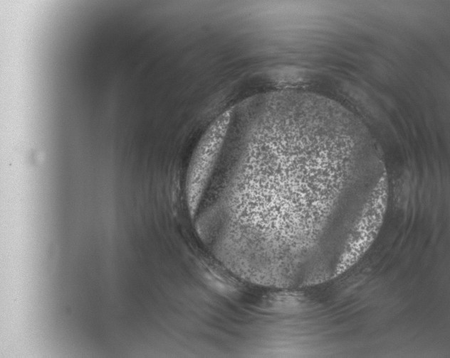 X0000072500618200607290107