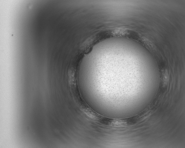 X0000072500619200607290107