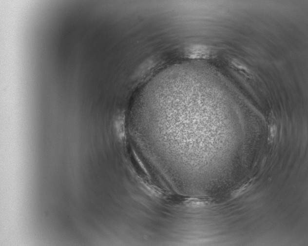 X0000072500620200607290107