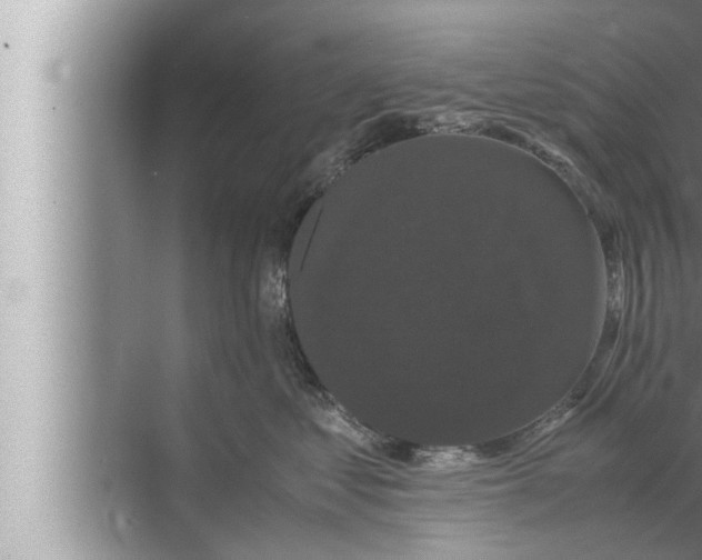 X0000072500621200607290107