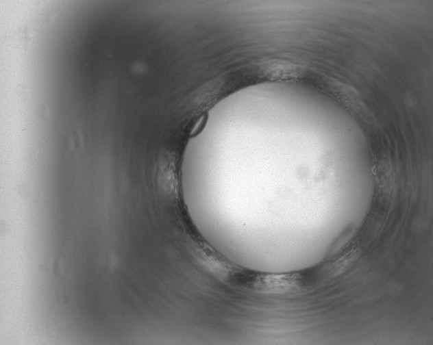 X0000072500622200607290107