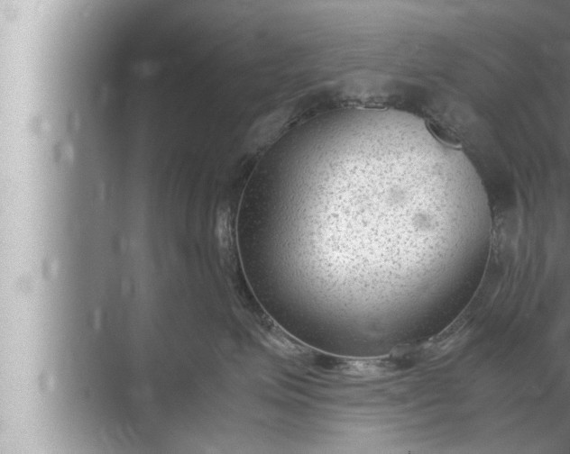 X0000072500623200607290107