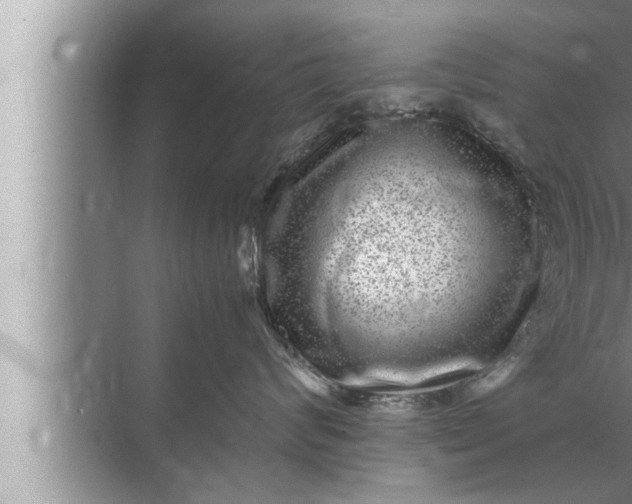 X0000072500624200607290107