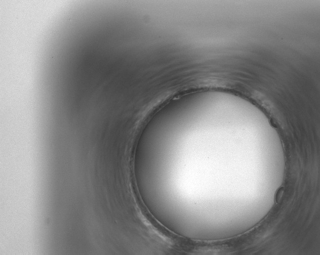 X0000072500625200607290106