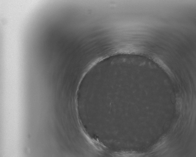 X0000072500626200607290106