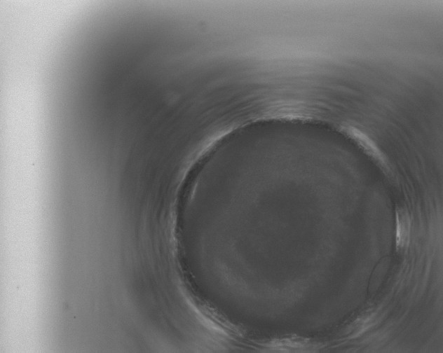 X0000072500627200607290106