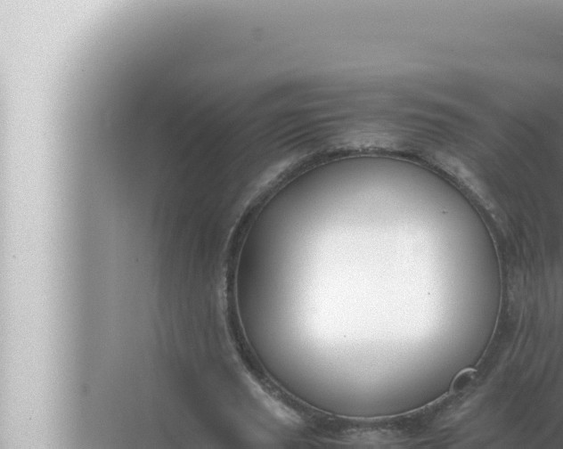 X0000072500629200607290106