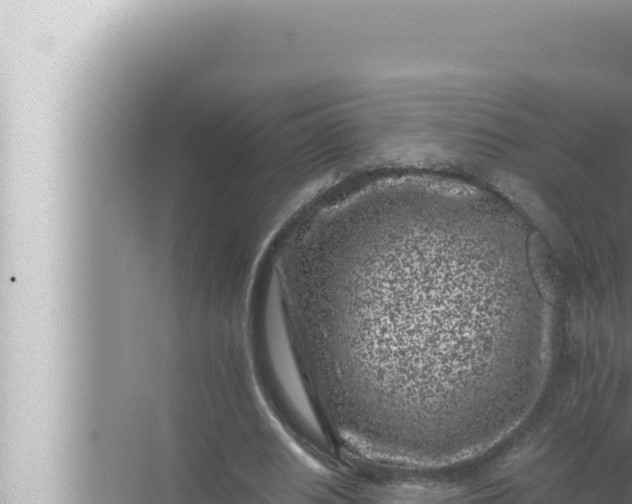 X0000072500630200607290106