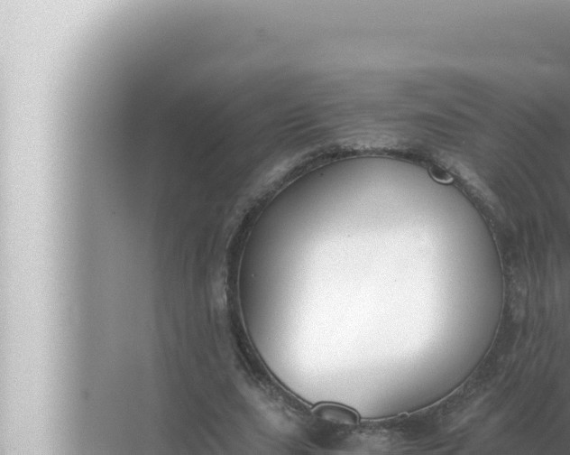 X0000072500631200607290106