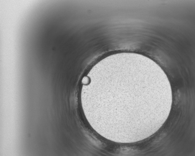 X0000072500632200607290106