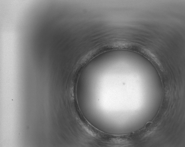 X0000072500633200607290106