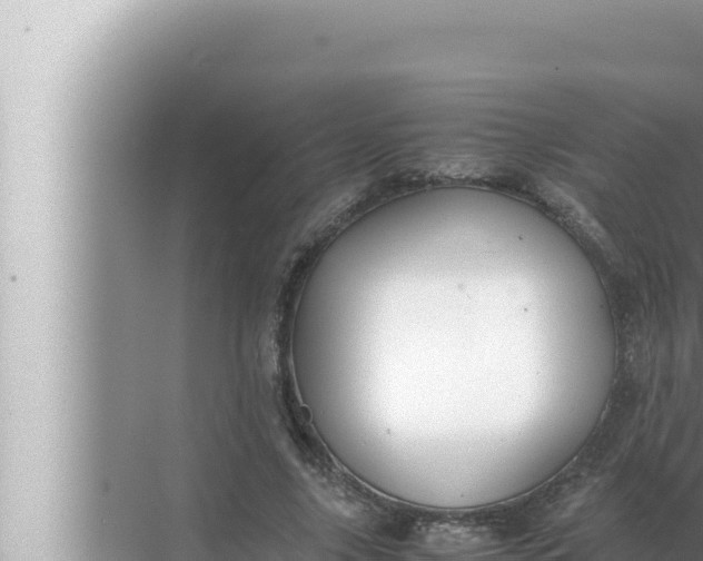 X0000072500635200607290106