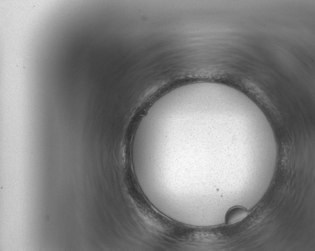 X0000072500636200607290106