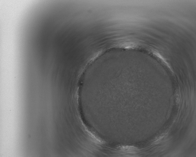 X0000072500637200607290106