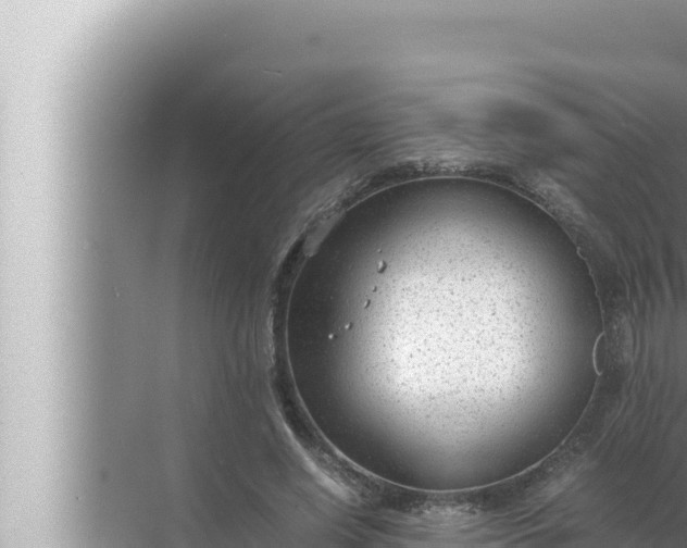 X0000072500638200607290106