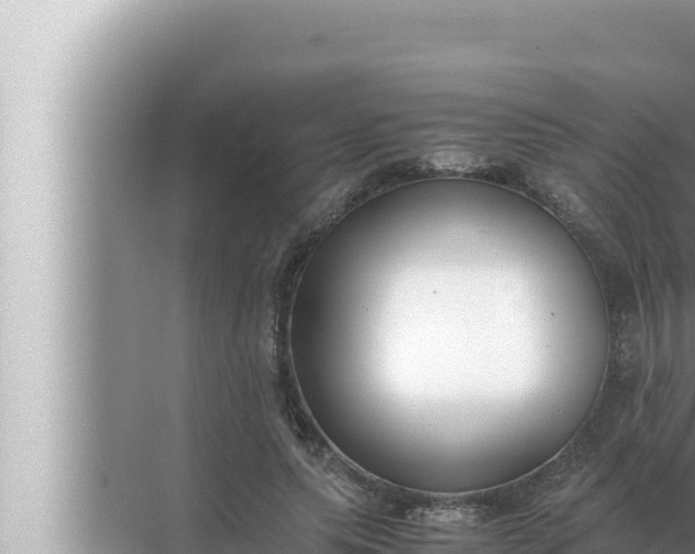 X0000072500639200607290106