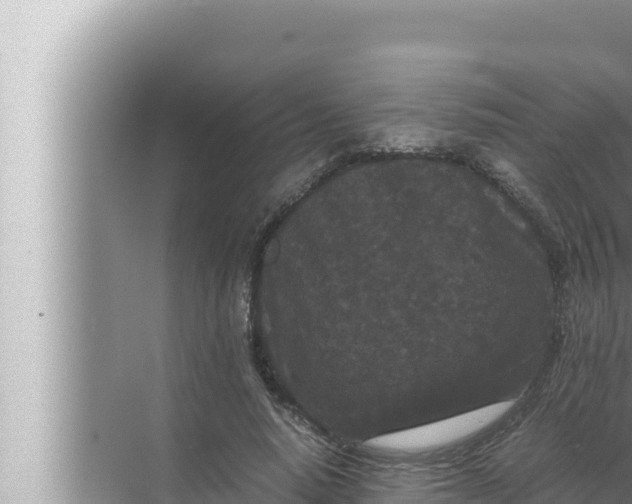 X0000072500640200607290106