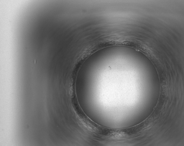 X0000072500642200607290107