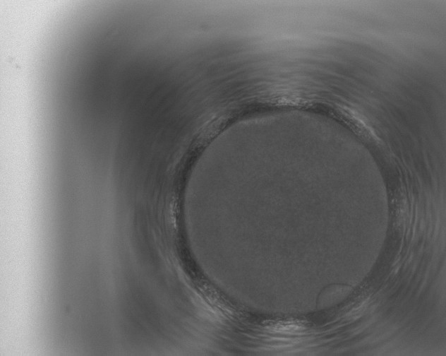 X0000072500643200607290107