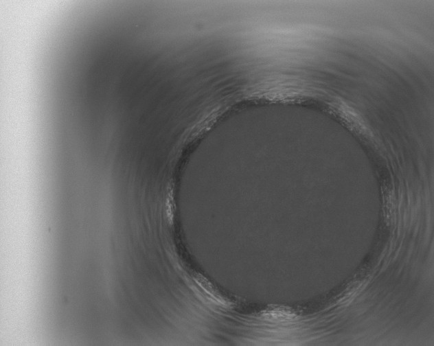 X0000072500644200607290107