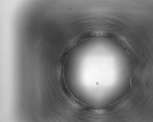 X0000072500645200607290107