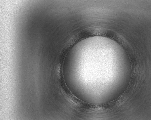 X0000072500646200607290107