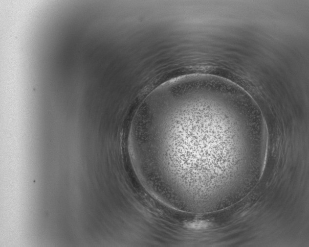 X0000072500647200607290107