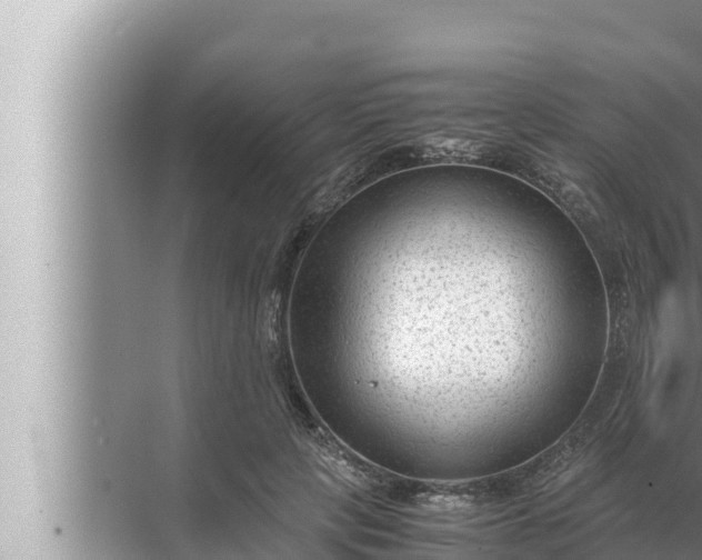 X0000072500649200607290107