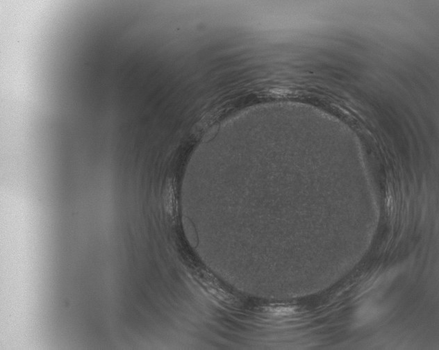 X0000072500651200607290107