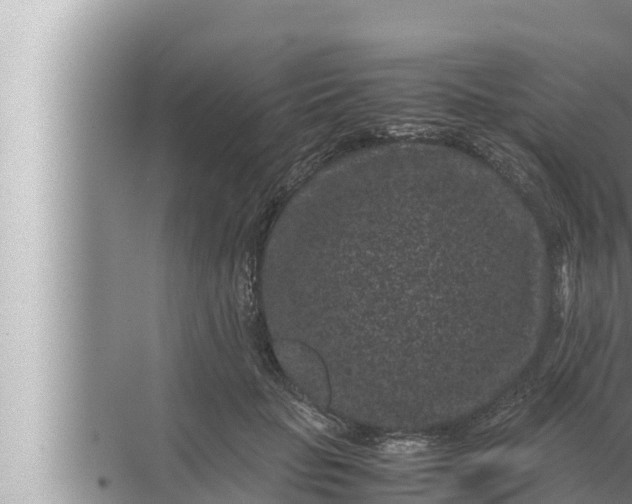 X0000072500653200607290107