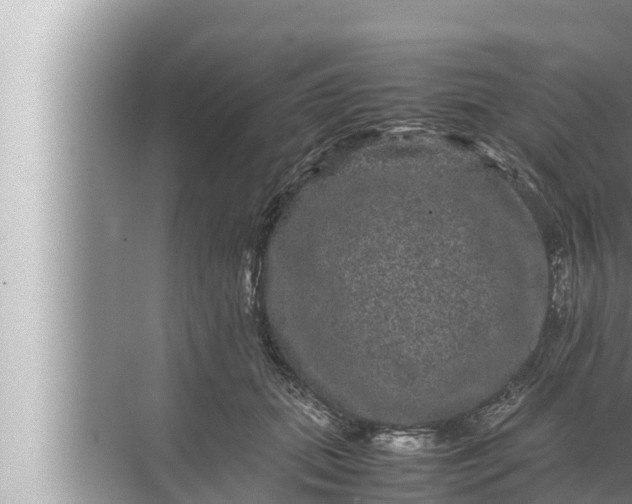 X0000072500655200607290107