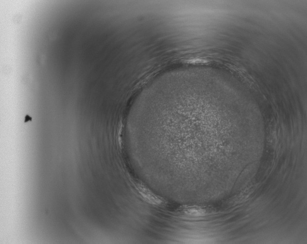 X0000072500658200607290107