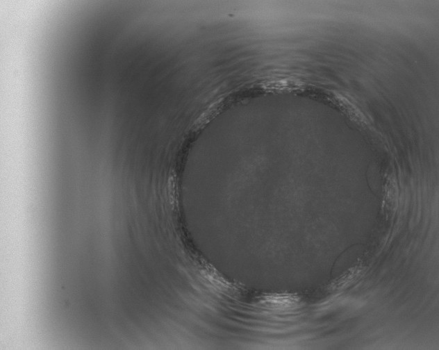 X0000072500659200607290107