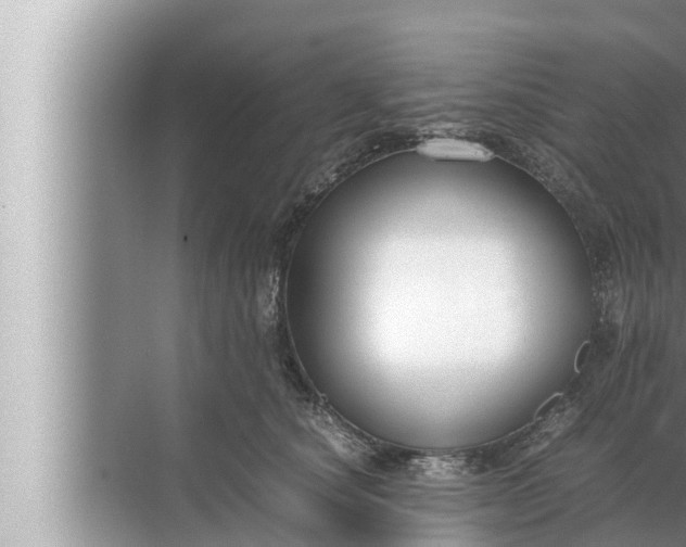 X0000072500660200607290107