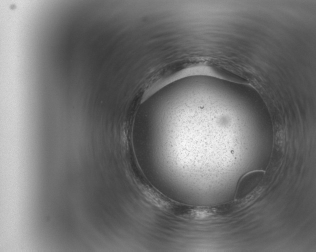 X0000072500662200607290107