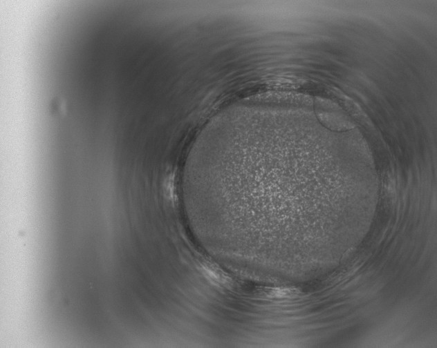 X0000072500663200607290107