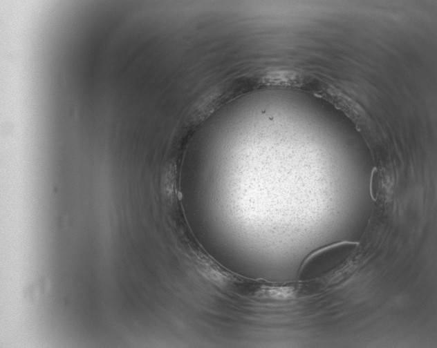 X0000072500665200607290107