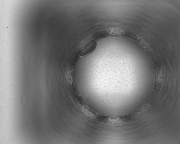 X0000072500666200607290107