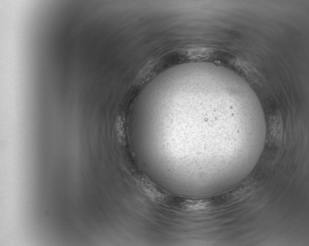 X0000072500667200607290107