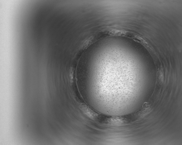 X0000072500668200607290107